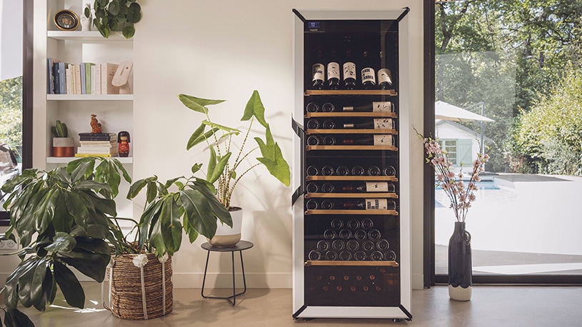 Une cave à vin remplie de bouteilles dans une maison.