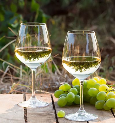 Deux verres de vin blanc et une grappe de raison sur une table en bois à l'extérieur.