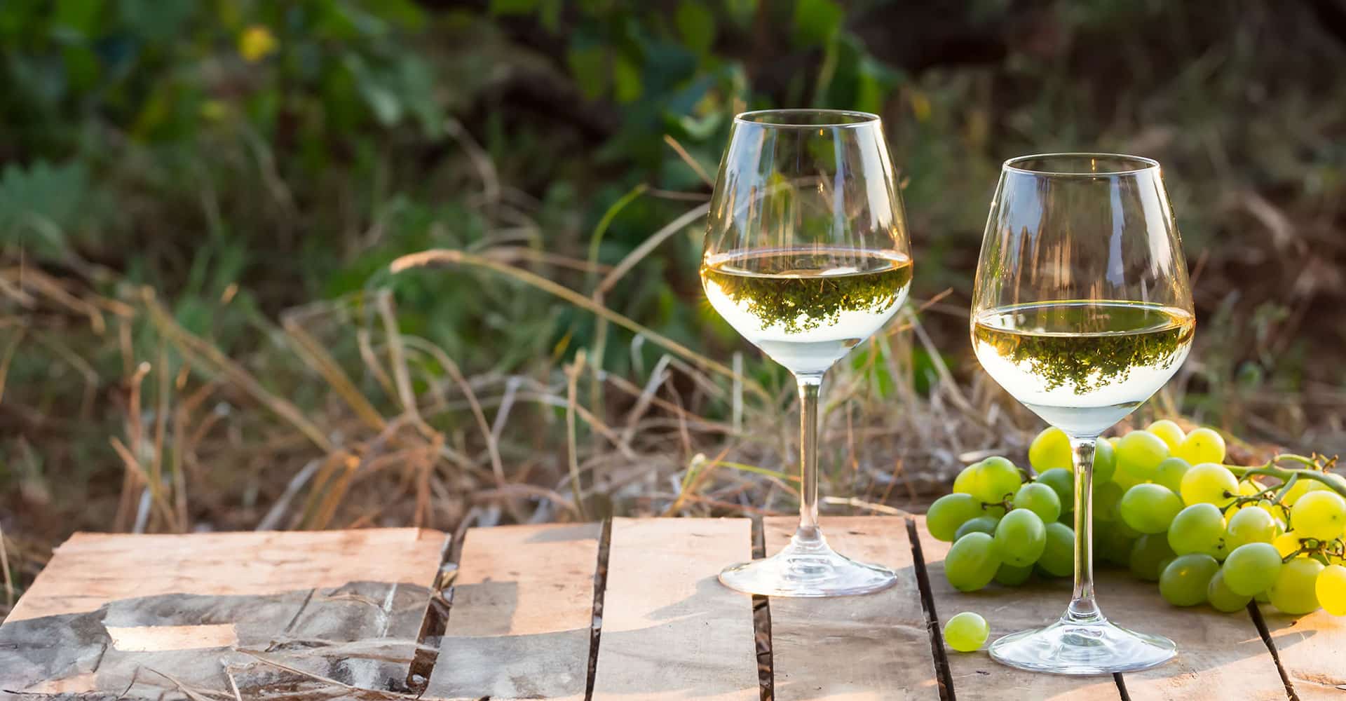 Deux verres de vin blanc et une grappe de raison sur une table en bois à l'extérieur.