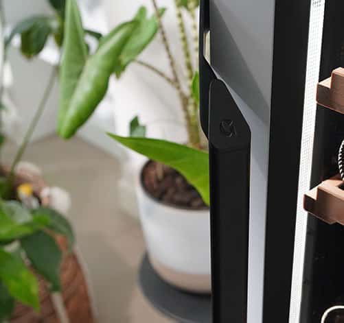 La poignée noire d'une cave à vin et une plante verte